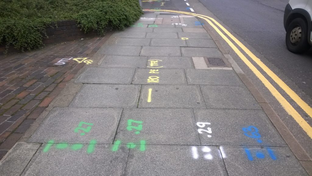 Utility Survey Markings